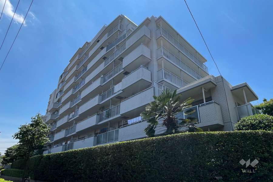 シティプラザ富士見町の外観（北東側から）