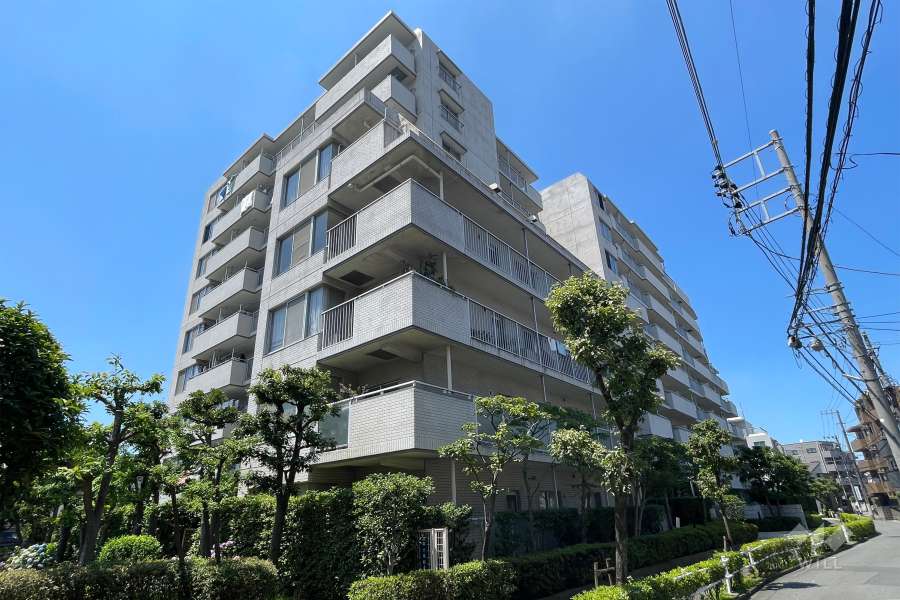 シティプラザ富士見町の外観（南東側から）