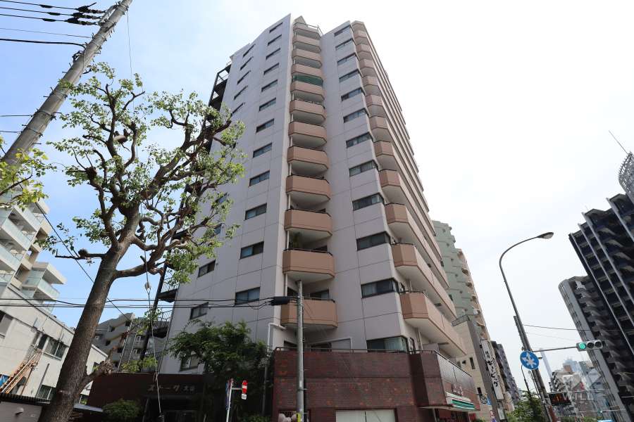 ストーク大山の外観（西側から）