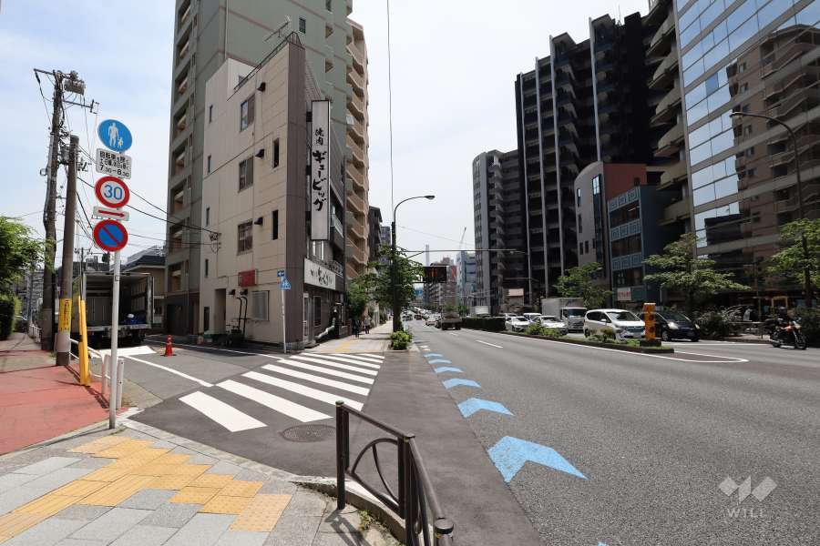 敷地南西側の前面道路（北西側から）