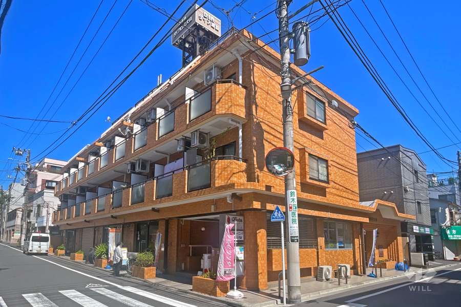 ダイアパレス大山の外観（南東側から）