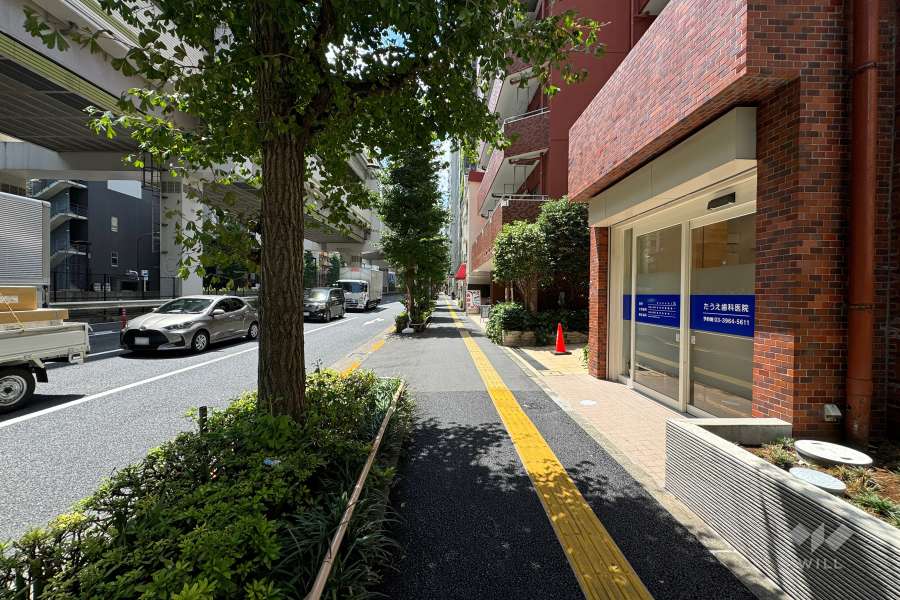 敷地東側の前面道路（北側から）