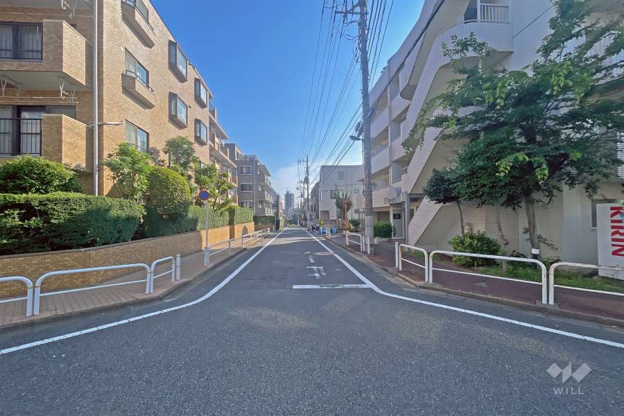 敷地の西側前面道路（南側から）