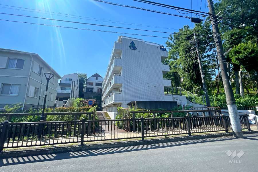 トップ成増第3の外観（北西側から）