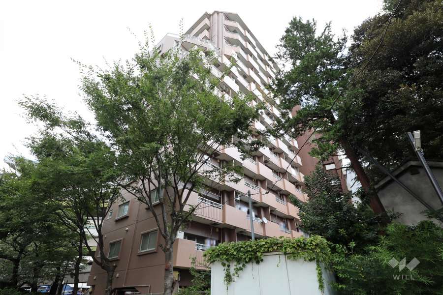 パラスト新板橋の外観（北西側から）