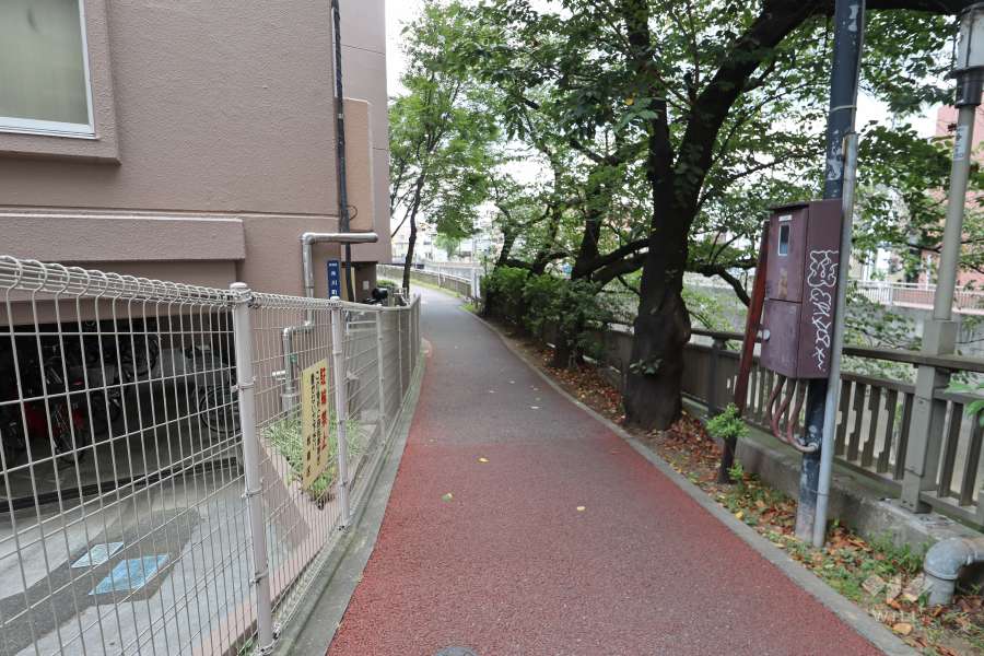 敷地北側の前面道路　