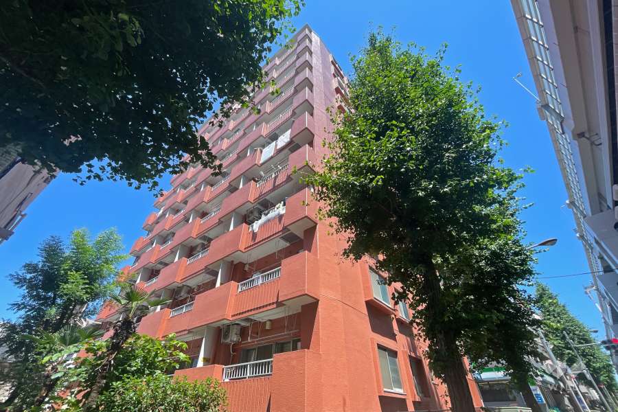 パラスト大山の外観（南東側から）