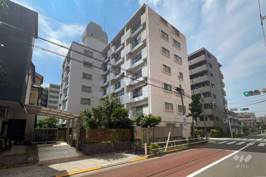 パラスト中板橋の外観（南東側から）