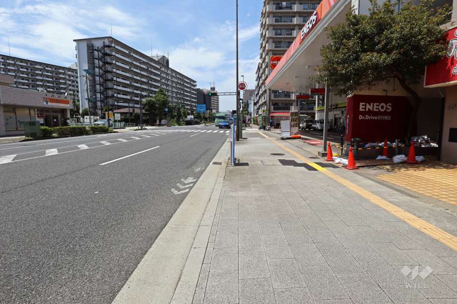 敷地南西側の前面道路（南東側から）