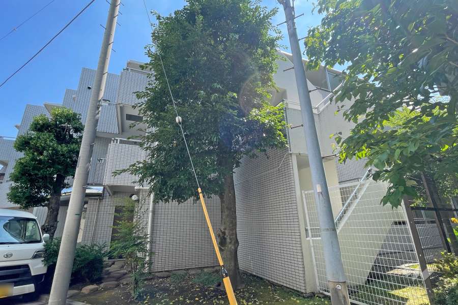 メゾン板橋本町の外観（北東側から）