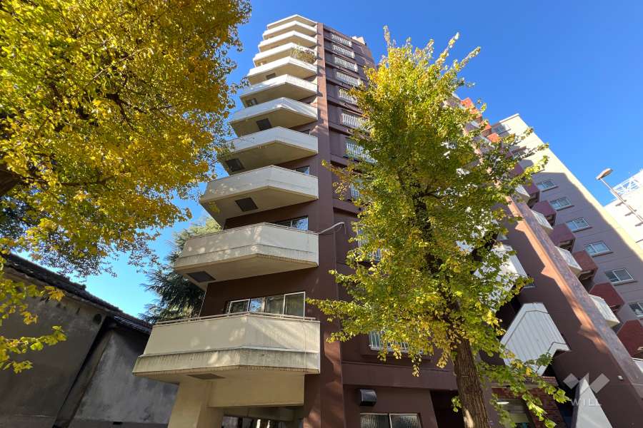 ローヤルハイツ氷川の外観（南東側から）