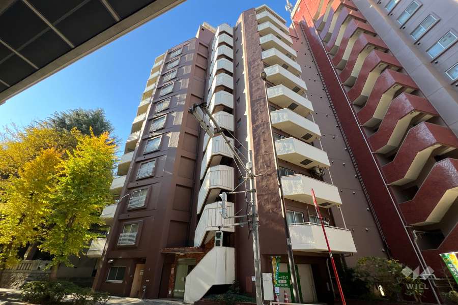 ローヤルハイツ氷川の外観（北東側から）