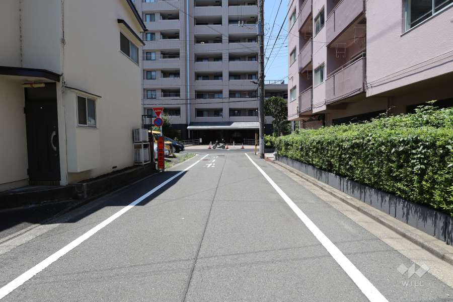 敷地南東側の前面道路（北東側から）