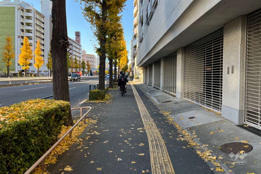 敷地の南側前面道路（東側から）