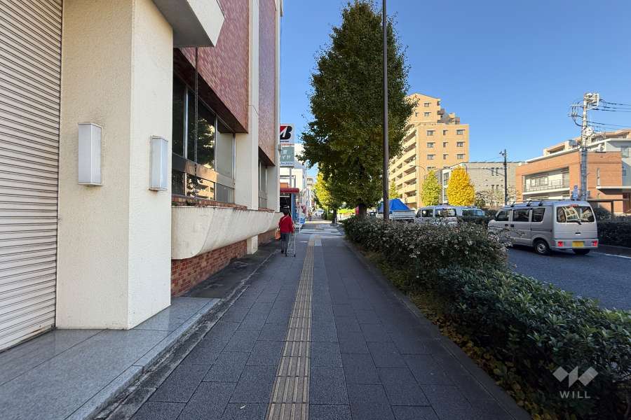敷地の北側前面道路（東側から）