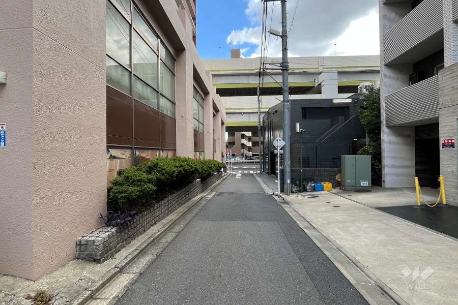 敷地の南側前面道路（西側から）