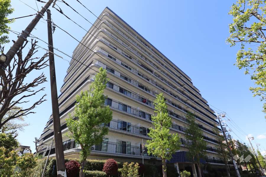 秀和蓮根レジデンスの外観（南東側から）