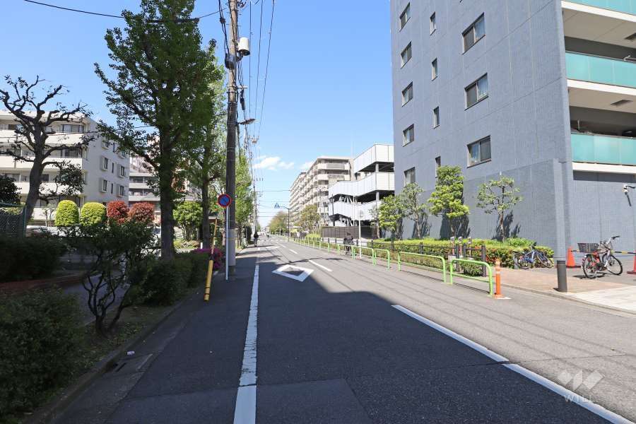 敷地東側の前面道路