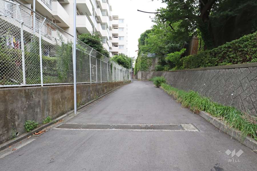 敷地南西側の前面道路（北西側から）