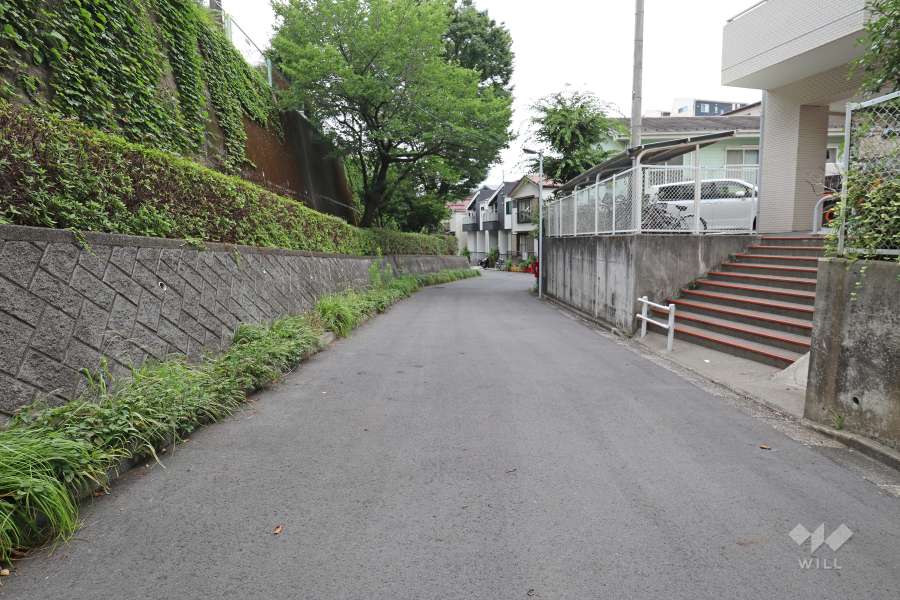 敷地南西側の前面道路（南東側から）