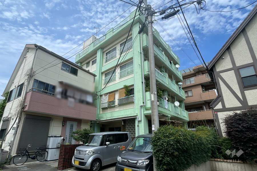 大武ドエルの外観（南側から）