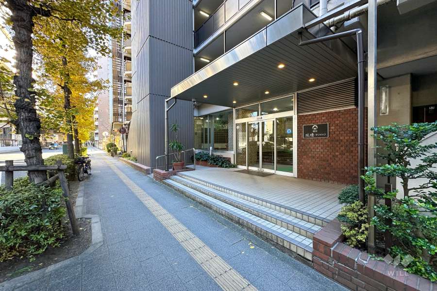 敷地東側の前面道路　