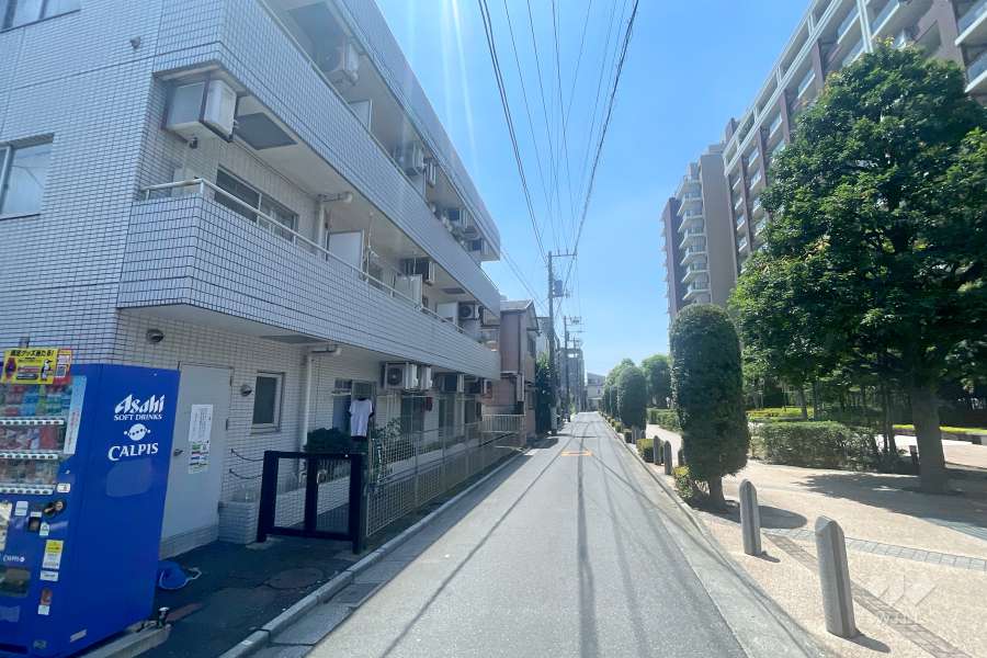 敷地の西側前面道路（北側から）