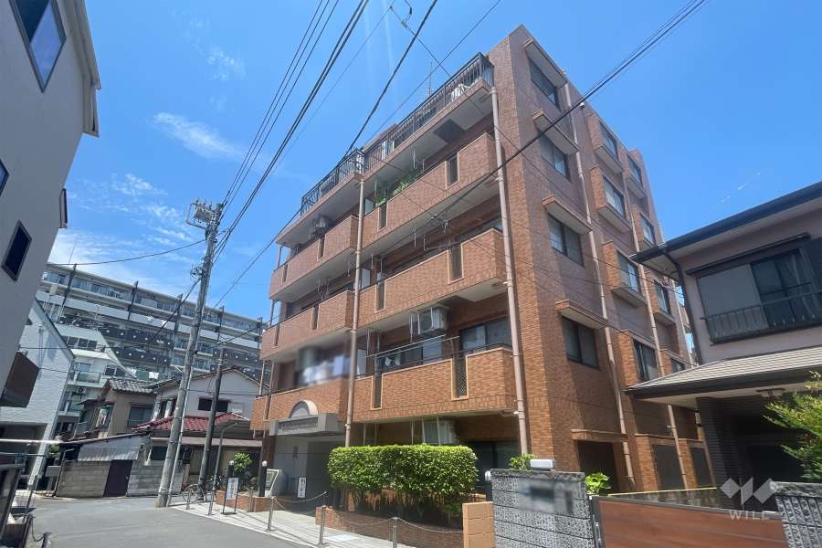 ライオンズマンションときわ台第3の外観（南東側から）