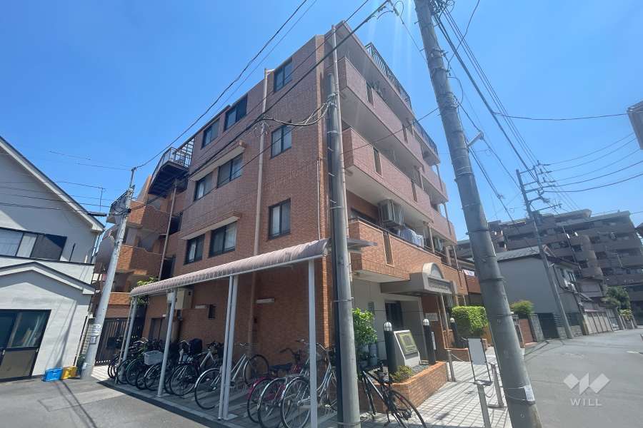 ライオンズマンションときわ台第3の外観（南西側から）