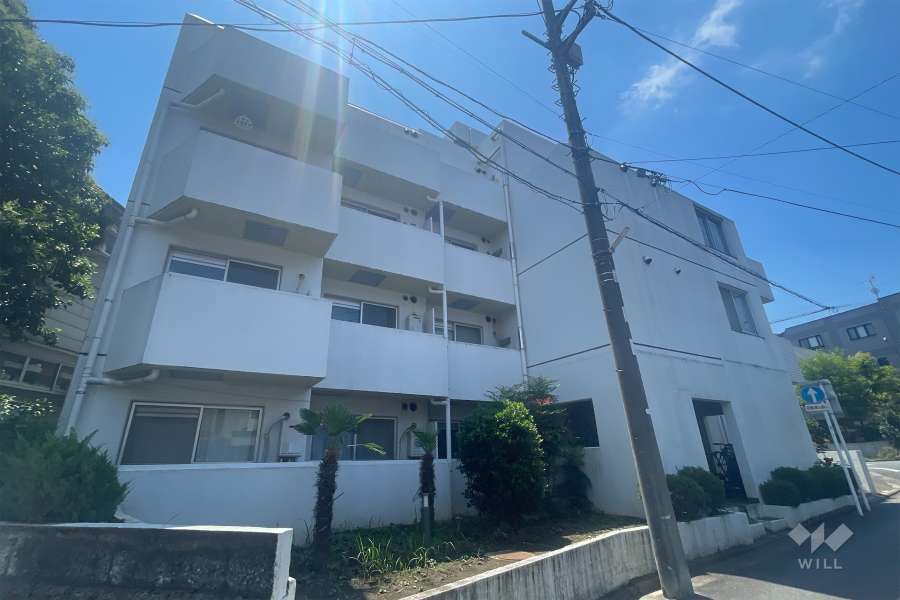 トップ板橋第2の外観（北西側から）　