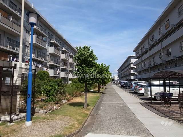 13号棟の南側の通路