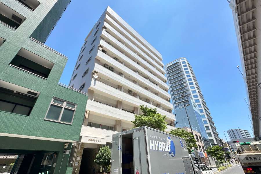 白鳩マンションの外観（南西側から）