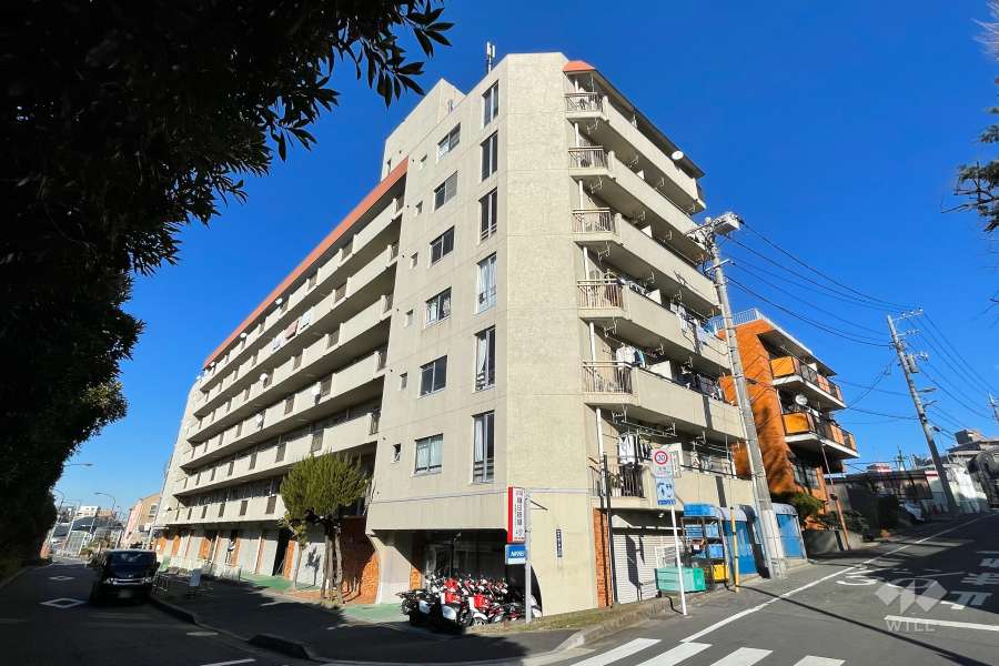 ニューハイム徳丸の外観（南西側から）