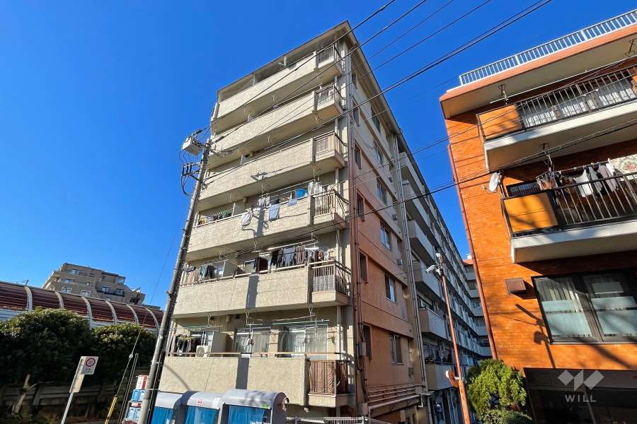 ニューハイム徳丸の外観（南東側から）