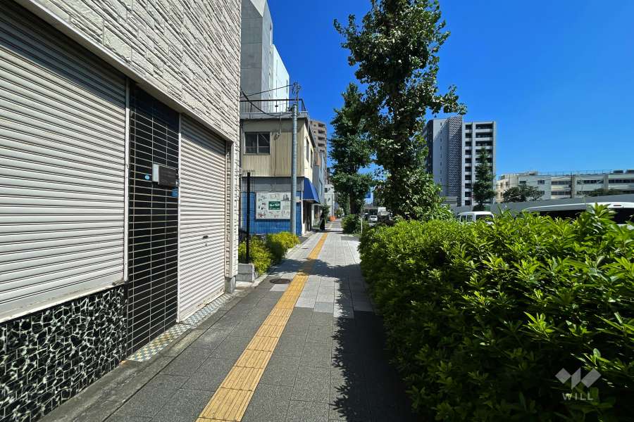 敷地南西側の前面道路（北西側から）