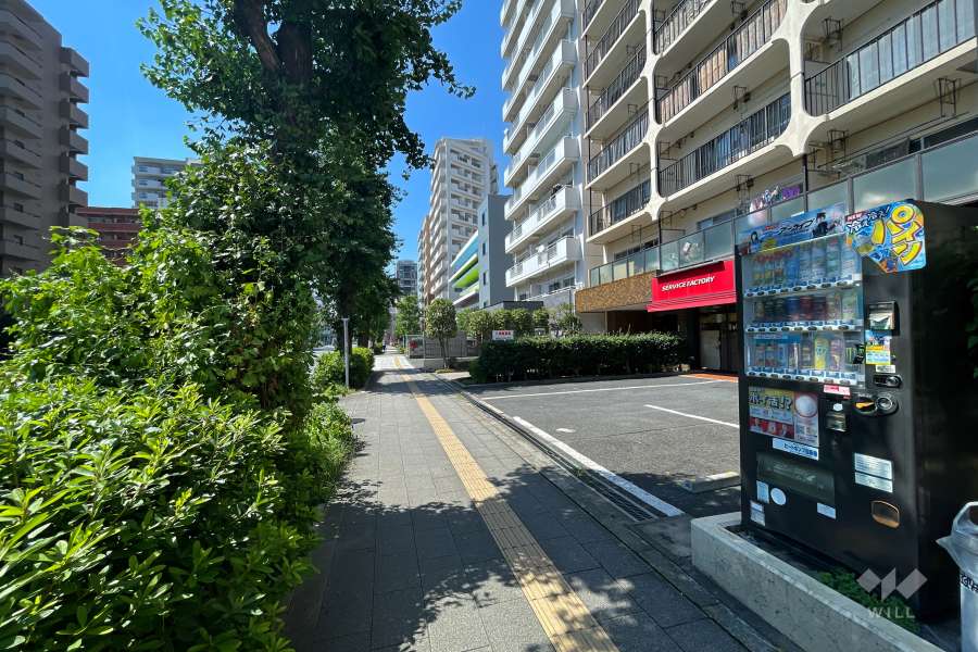 敷地南西側の前面道路（南東側から）