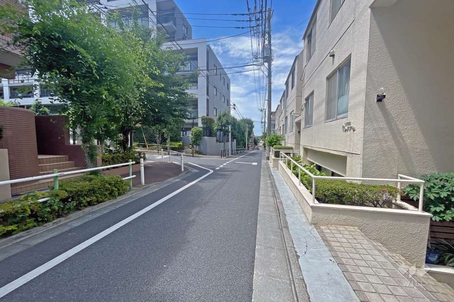 敷地の西側前面道路（南側から）