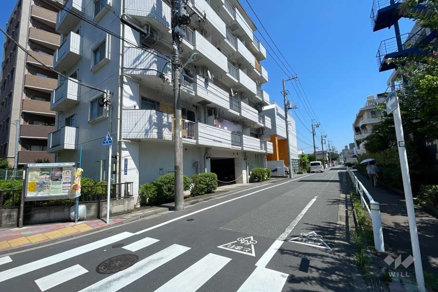 敷地の西側前面道路（北側から）