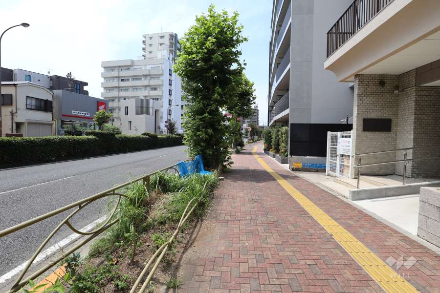 敷地の南側前面道路（東側から）