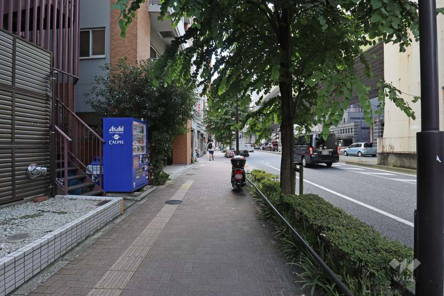 敷地北西側の前面道路（北東側から）