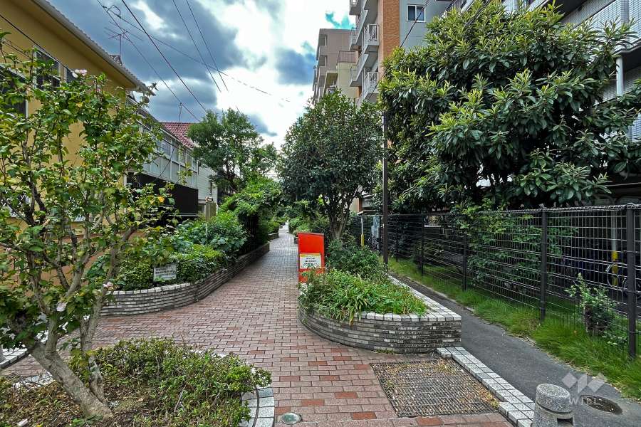 敷地南東側の通路（北東側から）