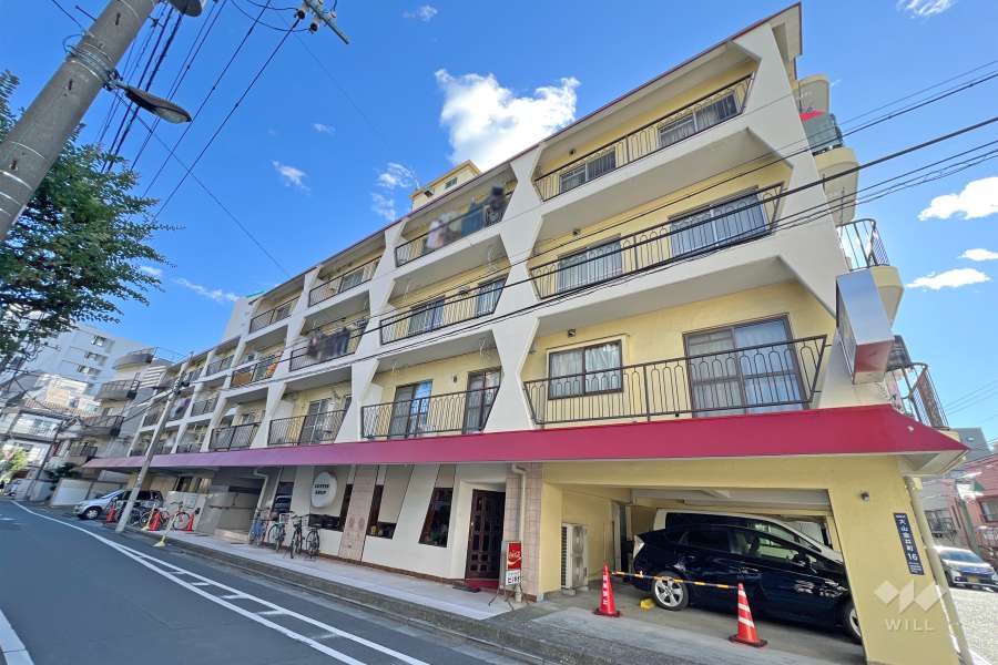 メゾンゴールドの外観（北西側から）