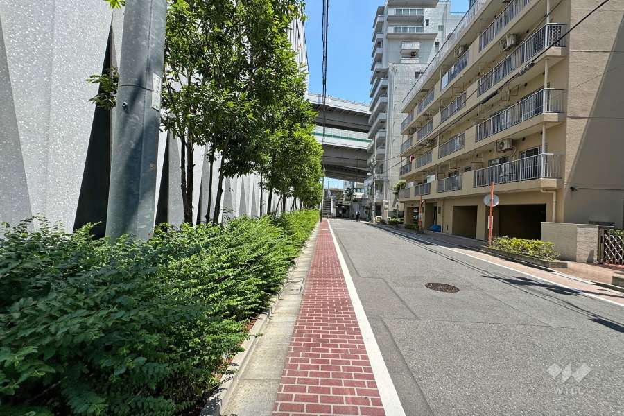 敷地西側の前面道路