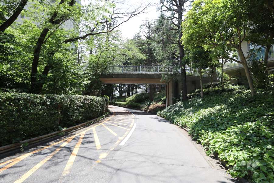 敷地の南東側前面道路　　