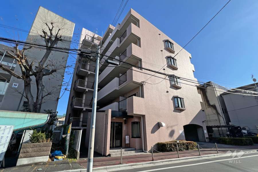 コスモ板橋蓮根の外観（北側から）