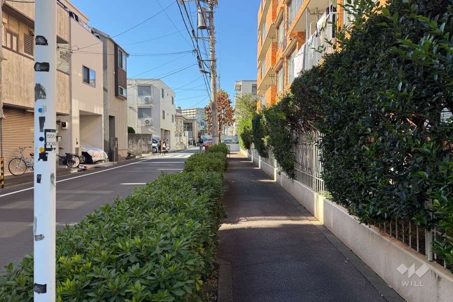 敷地の南側前面道路（東側から）