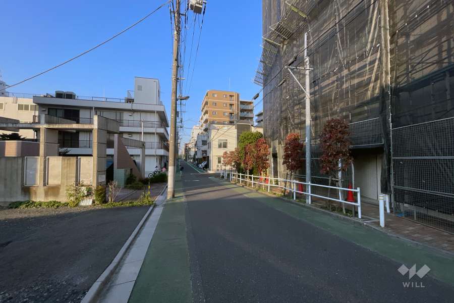 敷地の西側前面道路（南側から）