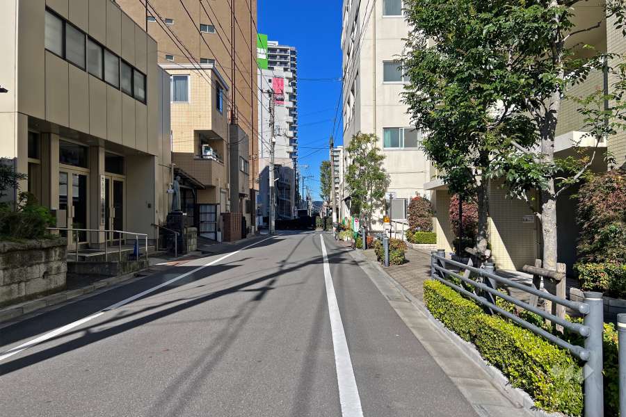 敷地西側の前面道路（南側から）