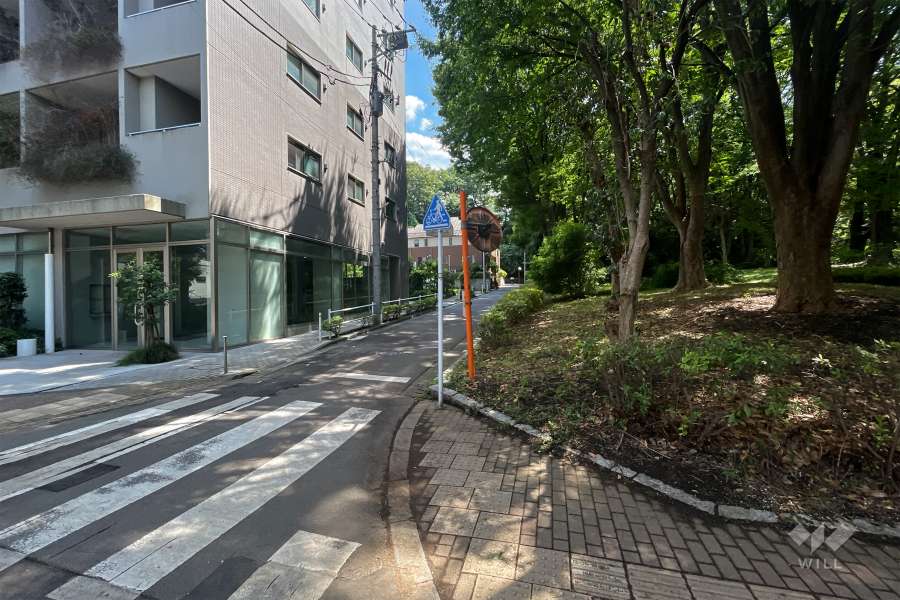 敷地西側の前面道路（北側から）