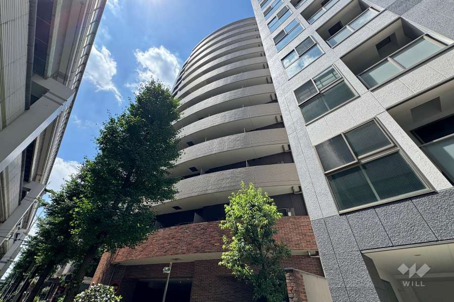 フェニックス板橋大山の外観（北東側から）　　